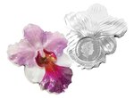 Pièce de monnaie 2 dollars niue 2020 1 once argent be – orchidée
