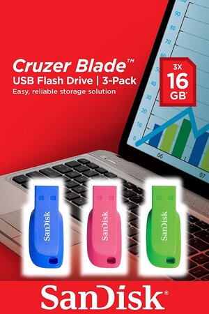 Sandisk sandisk cruzer blade
