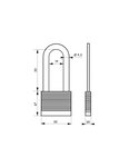 THIRARD - Cadenas à clé Fédéral Lock Protector  extérieur  acier  anse demi-haute  double verrouillage  50mm  2 clés
