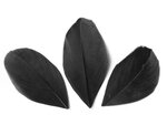 Sachet 3 Gr Plumes Coupees Noir Ht.60