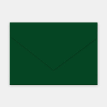 Lot de 50 enveloppes 229x324 mm vélin vert cactus