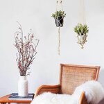 Autocollant mural suspensions plantes