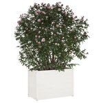 vidaXL Jardinière d'extérieur Blanc 100x50x70 cm Bois de pin massif