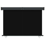 vidaXL Auvent latéral de balcon 160x250 cm Noir