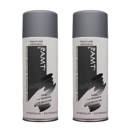 Lot de 2 bombes de peinture - gris mat - amt