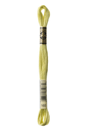 Fil Mouliné DMC Gold Concept 8M Col. 165 Broderie et Point de Croix