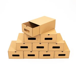 Lot de 10 boîtes à chaussures en carton