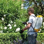 Hozelock pulvérisateur à pression à sac à dos plus 12 l