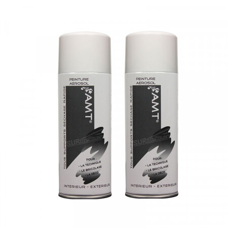 Lot de 2 bombes de peinture - ficelle - amt