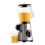 Trebs mixeur 500 w en acier inoxydable