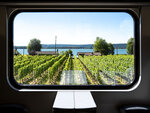 SMARTBOX - Coffret Cadeau L'Europe en train : Pass Interrail 22 jours 1re classe et nuit en hôtel 4* -  Multi-thèmes