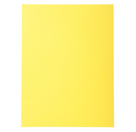 Paquet De 100 Chemises Forever® 220 100  Recyclé - 24x32cm - X 5 - Exacompta