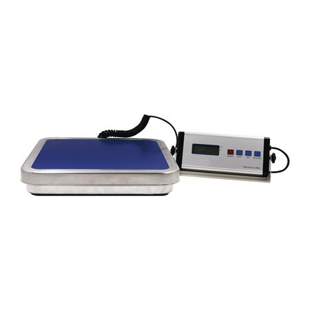 Balance electronique professionnelle affichage mural 30 kg -  - inox310 300x40mm