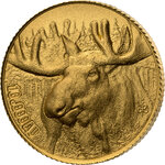 Pièce de monnaie en Or 100 Francs g 1 Millésime 2023 Big Five North America BIG FIVE NORTH AMERICA