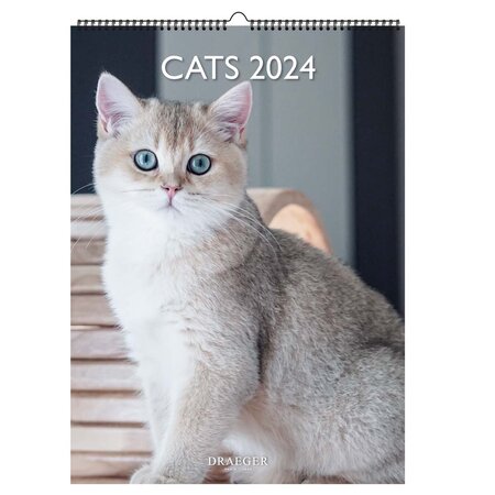 Calendrier mural déco 29x39  cm - 2024 - Chats - Draeger