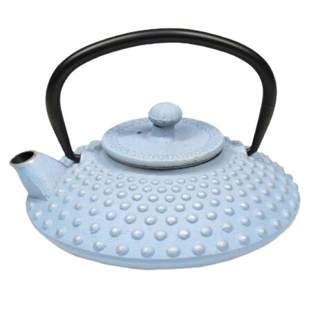 Théière japonaise bleu pastel en fonte