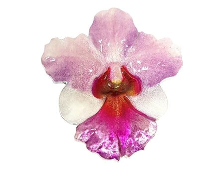 Pièce de monnaie 2 dollars niue 2020 1 once argent be – orchidée