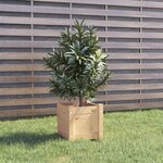 vidaXL Jardinière d'extérieur 31x31x31 cm Bois de pin massif