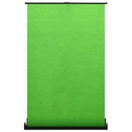 vidaXL Toile de fond de photographie Vert 97" 4:3