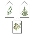 Autocollant mural cadres herbiers