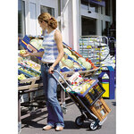 Wolfcraft système de transport ts 600 5505000
