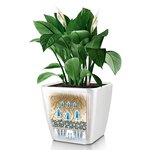 LECHUZA Jardinière Quadro 35 LS ALL-IN-ONE Blanc brillant 16160
