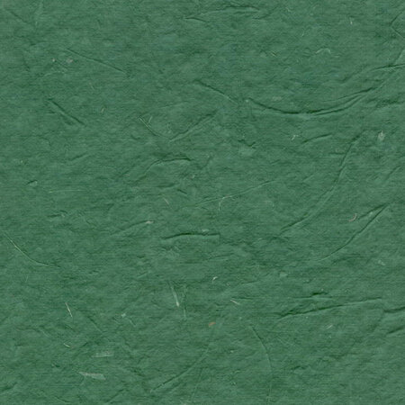 PAPERTREE DS 50 x 70 - 200g BAGASSE Vert - Lot de 10 feuilles
