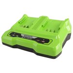 Greenworks chargeur à double fente 24 v 4 a