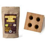 Moule en bois 4 cônes + Poudre neutre à parfumer