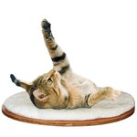 Kerbl Lit mural pour chats Dolomit 50 x 35 cm Blanc 81503