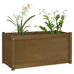 vidaXL Jardinières 2 Pièces Marron miel 100x50x50 cm Bois de pin massif
