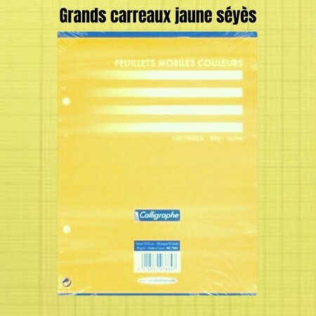 Feuillets mobiles jaune perforées 17x22 grands carreaux seyes 80g clairefontaine