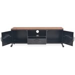 vidaXL Meuble TV 120 x 30 x 43 cm Noir