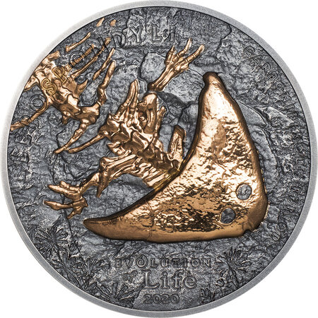 Pièce de monnaie en Argent 500 Togrog g 31.1 (1 oz) Millésime 2020 Evolution of Life DIPLOCAULUS