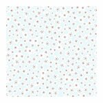 4 feuilles de calques - couleurs naturelles