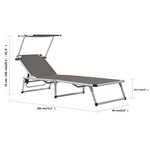 vidaXL Chaise longue pliable avec auvent Aluminium et textilène Gris