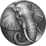ELEPHANT Expressions of Wildlife 2 onces argent monnaie 2000 Francs Cameroon 2023