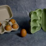 Boîte 10 oeufs bioplastique beige
