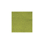 Papier Vert mai Poudre paillettes 200 g/m² 30 5 cm