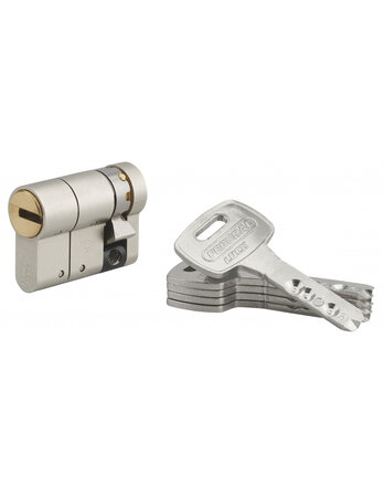 THIRARD - Demi-cylindre de serrure Federal S  30x10mm  nickel  anti-arrachement  anti-perçage  5 clés