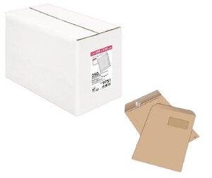 Lot de 250 pochettes kraft 229x324 Fenêtre 110x50