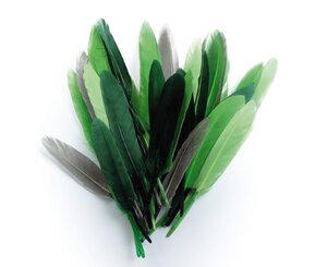 Plumes d'indien pour activités enfant Camaieu vert 15cm