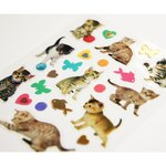 Autocollants - Chatons - détails dorés - 1 8 cm