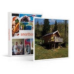 SMARTBOX - Coffret Cadeau 3 jours insolites dans une cabane dans les Pyrénées -  Séjour