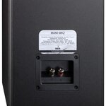 DAVIS ACOUSTICS MANI MK2 - Enceinte colonne - 150W - 3 hauts-parleurs - 92dB - Woofer 17cm - Dark Ash