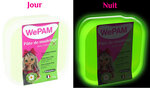 Porcelaine froide à modeler WePam 145 g Phosphorescent