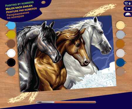 Tableau peinture au numéro Cavalcade
