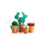 Kit laine cardée Jardin cactus