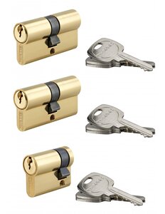THIRARD - Lot de 2 cylindres double entrée STD 30x30mm et d'un cylindre 30x10mm s'entrouvrant laiton 3 clés/cylindre