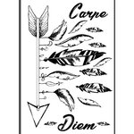Transfert Thermocollant Fleche Carpe Diem Noir A4